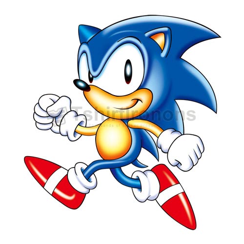 Sonic the Hedgehog T-shirts Iron On Transfers N7980